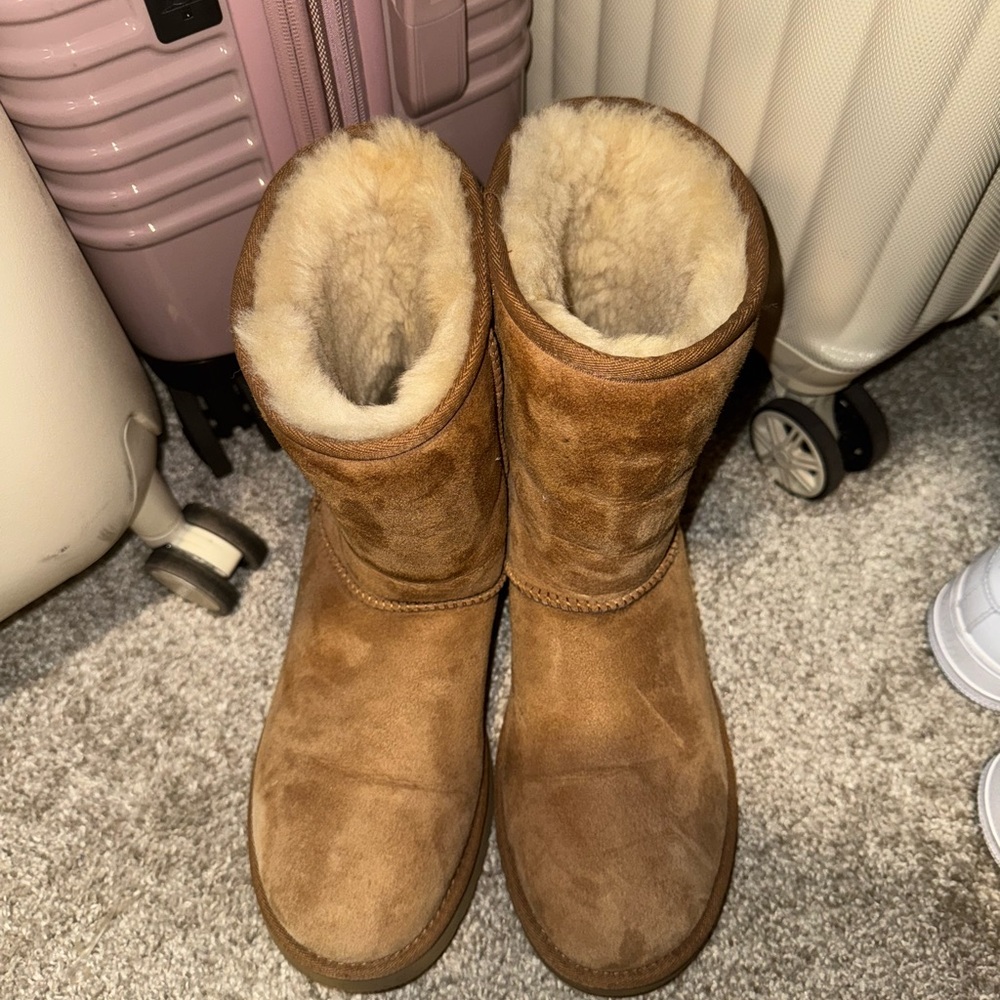 Women Chestnut UGG boots